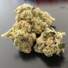 Grapefruit Diesel feminised Ganja Seeds