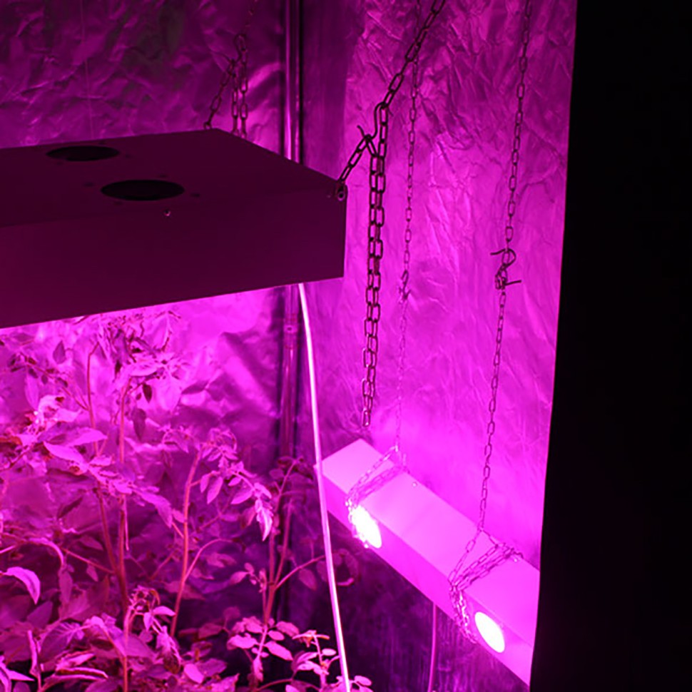 Гроубокс в сборе Джин 1200х1200х2000 + Гагарин 4 недорого