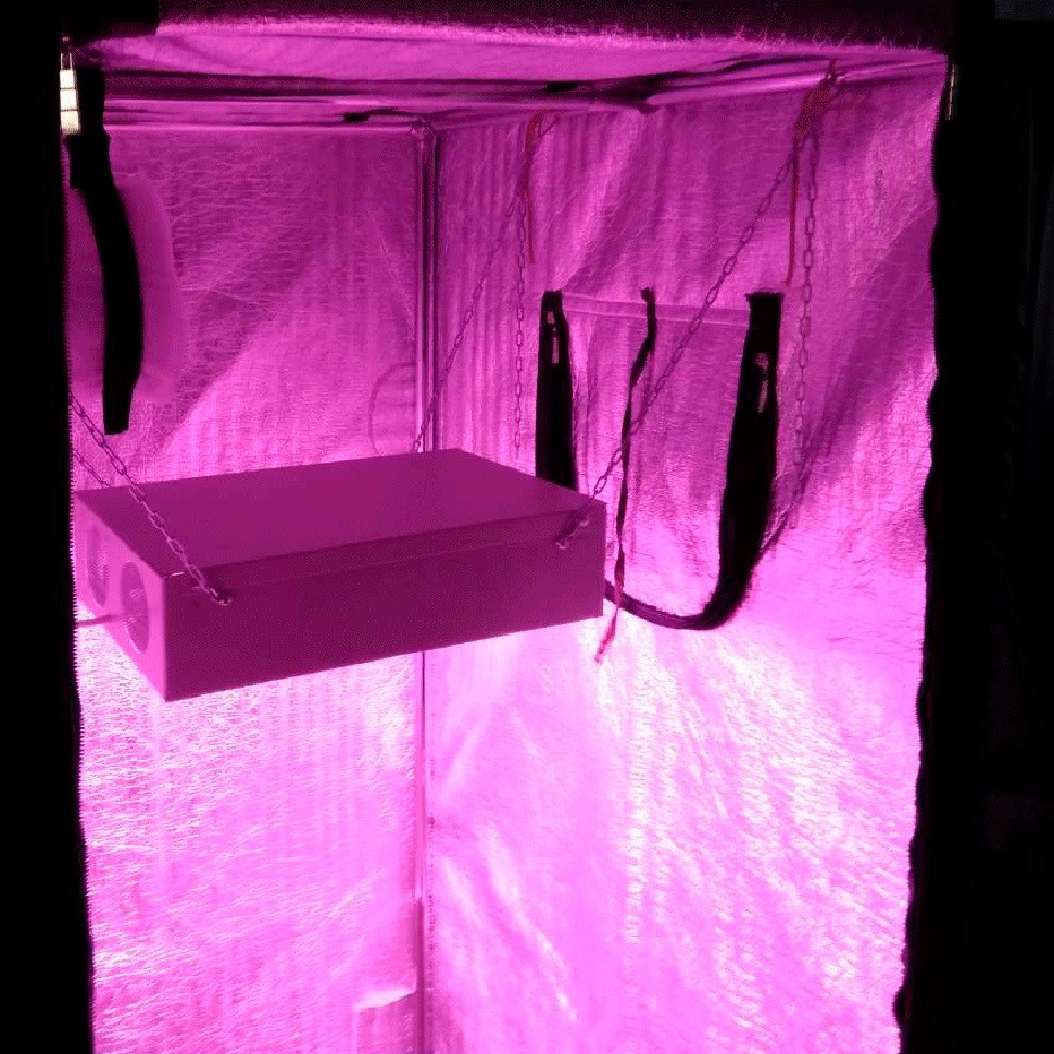 Гроубокс в сборе Джин 1200х1200х2000 + Гагарин 4 купить в интернет магазине