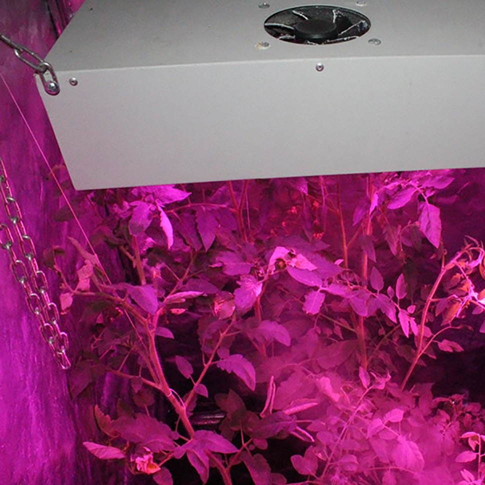 Гроубокс в сборе Джин 800х800х1600 + Гагарин 1 в гроушопе