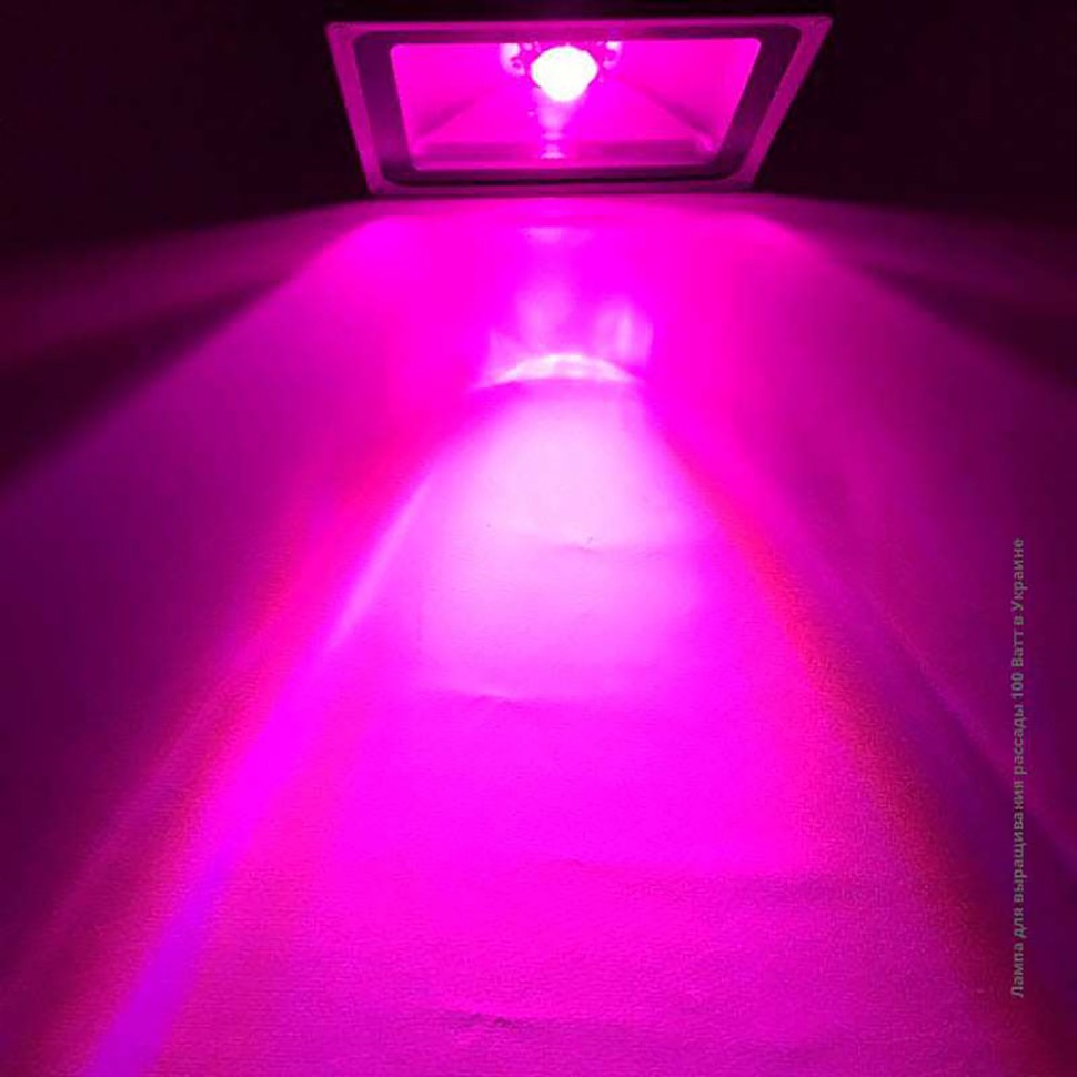 Фитопрожектор ЛЮКС 100 Вт для конопли