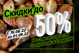 Закрытие летнего сезона! Скидки до 50%!