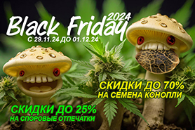 GanjaSeeds: Черная Пятница 2024 – скидки до 70%!