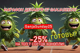 Марафон декабря от GanjaSeeds! Готовы?